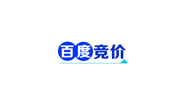 百度競價、360競價、搜狗競價等